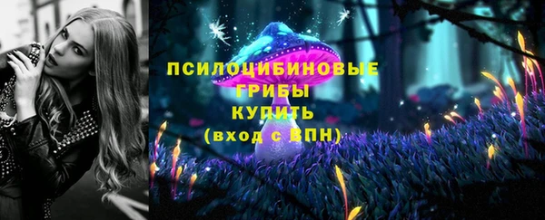 экстази Бородино