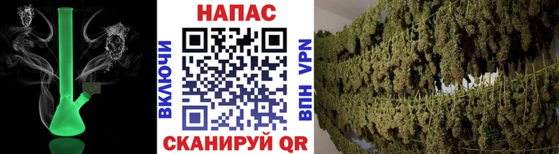 Купить  Черепаново  Канабис Amnesia 